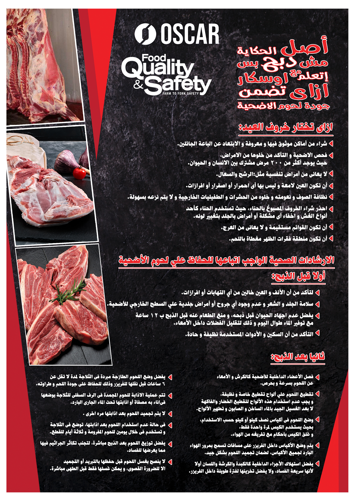 oscar offers from 29may to 7may 2025 عروض أوسكار من 29 مايو حتى 7 مايو 2025 صفحة رقم 2